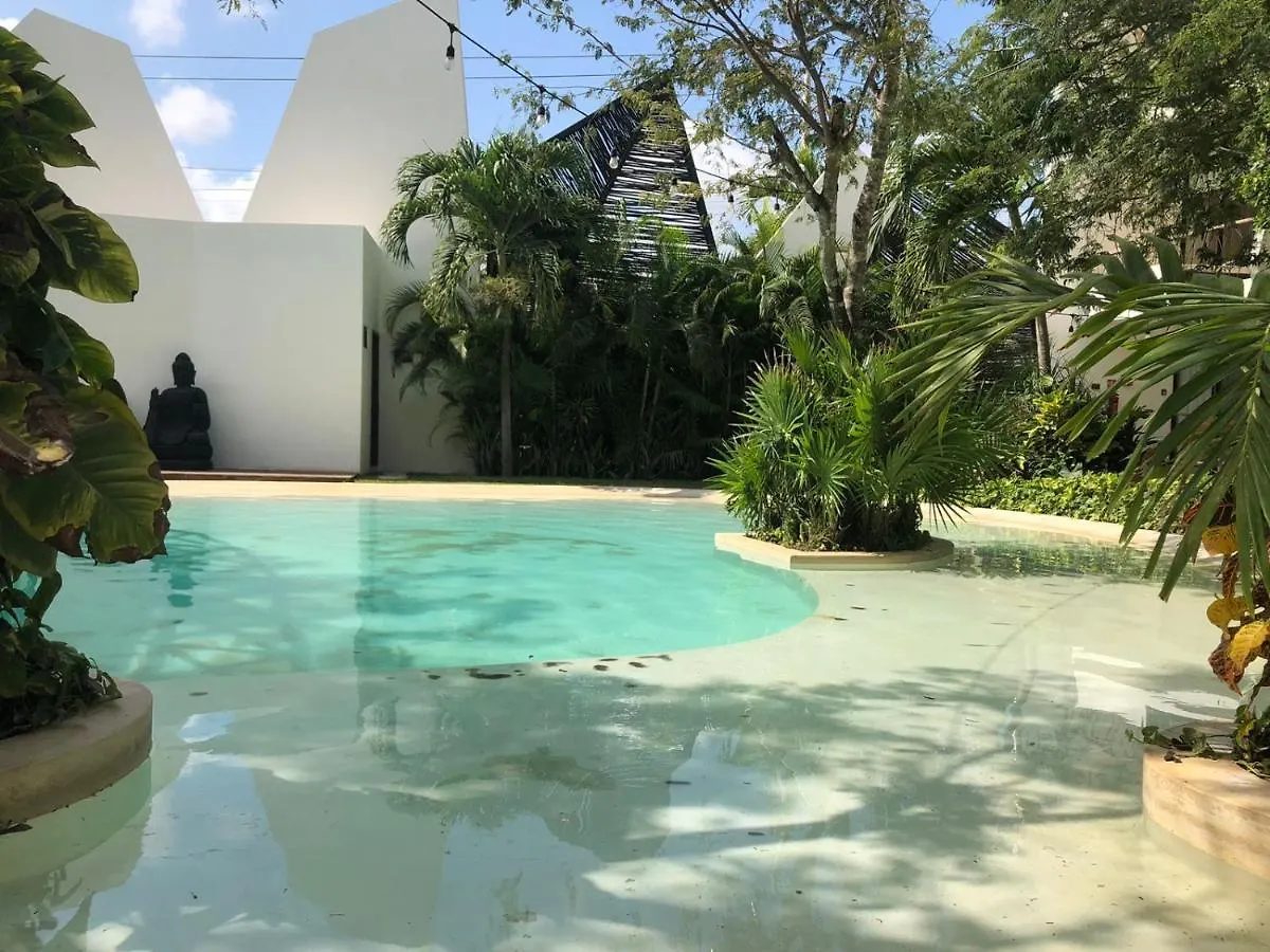 Beautiful Loft With Speed Wifi And Near From Beach Apartment Tulum