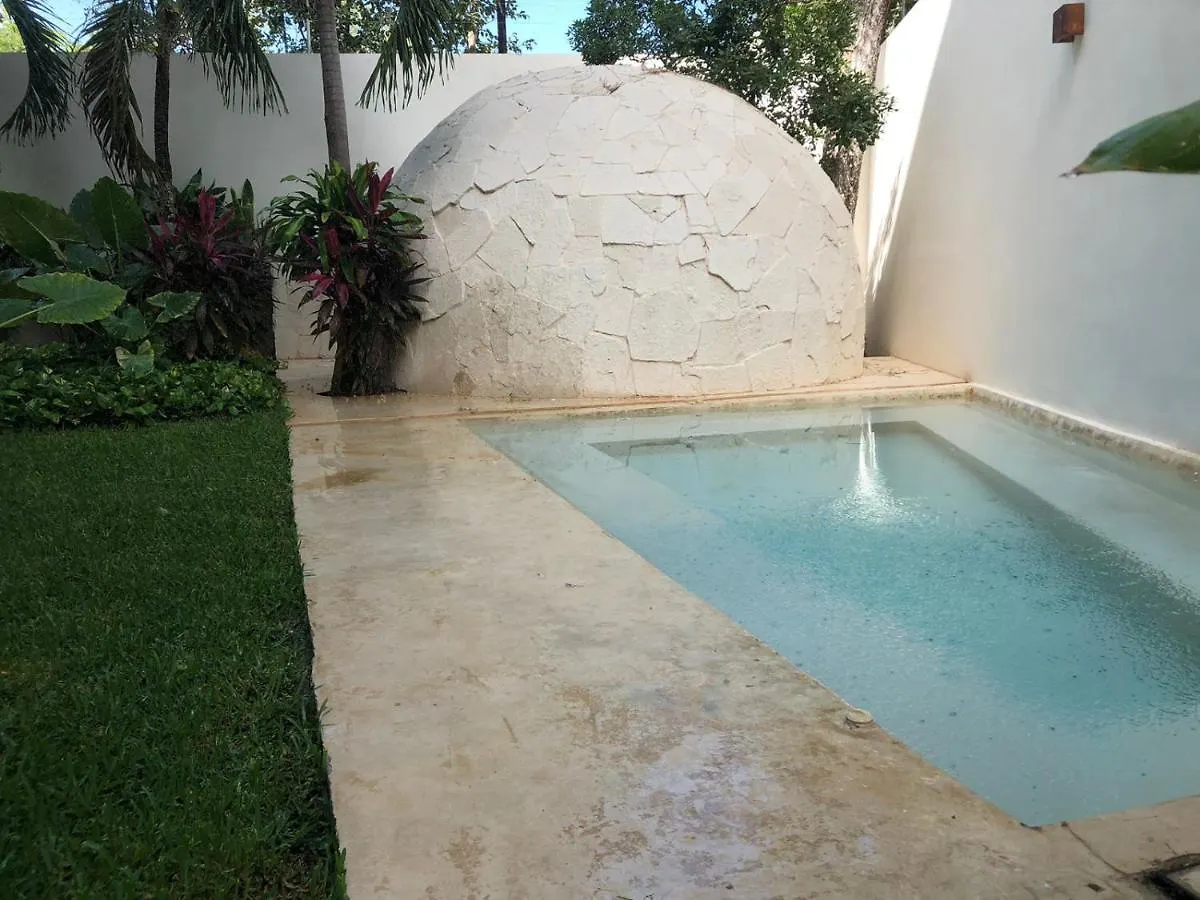 Beautiful Loft With Speed Wifi And Near From Beach Apartment Tulum