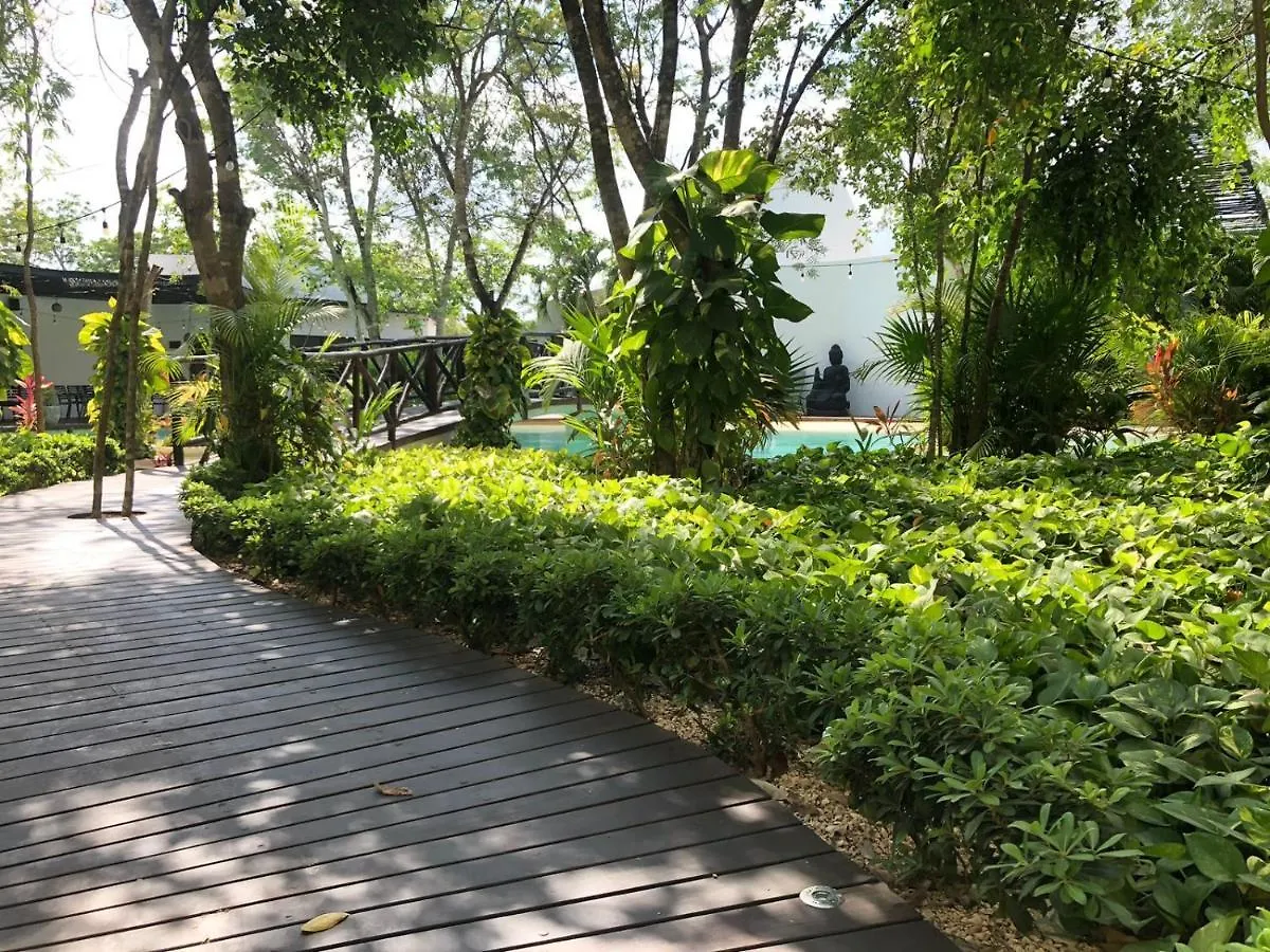 Beautiful Loft With Speed Wifi And Near From Beach Apartment Tulum 0*,